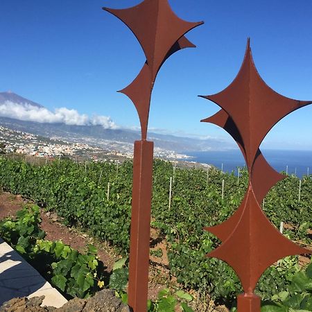 Finca Angelus Apartment Syrah With Amazing Views La Matanza De Acentejo المظهر الخارجي الصورة
